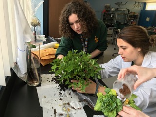 AP Environmental Class Recommends Changes to NASA's Lab