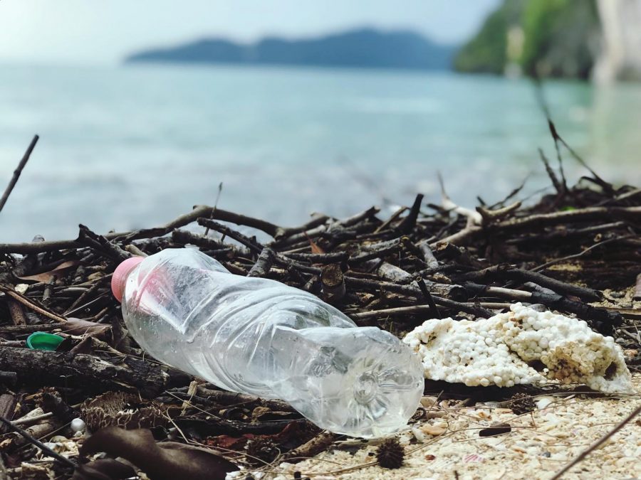 Climate Change and Single-Use Plastics Will Cause Irreversible Damage To Miami’s Oceans