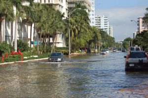 Miami-Dade Officials Release Plan to Address Rising Sea Levels