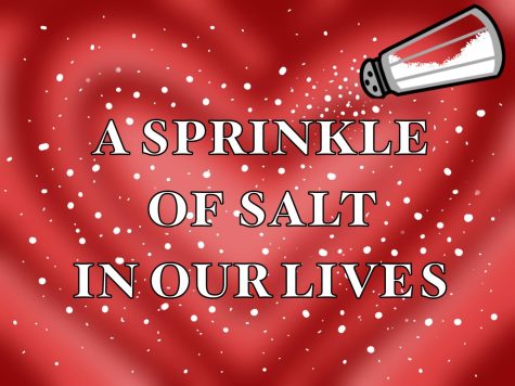 A Sprinkle of SALTT in Our Lives: Lauren Fakhouri