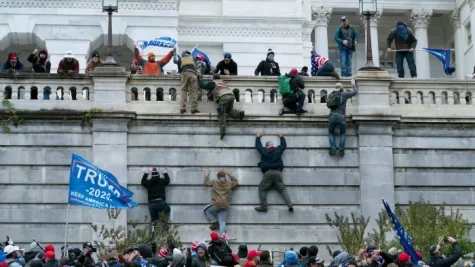 Rioters are seen climbing up Capitol walls, helping lift each other up.