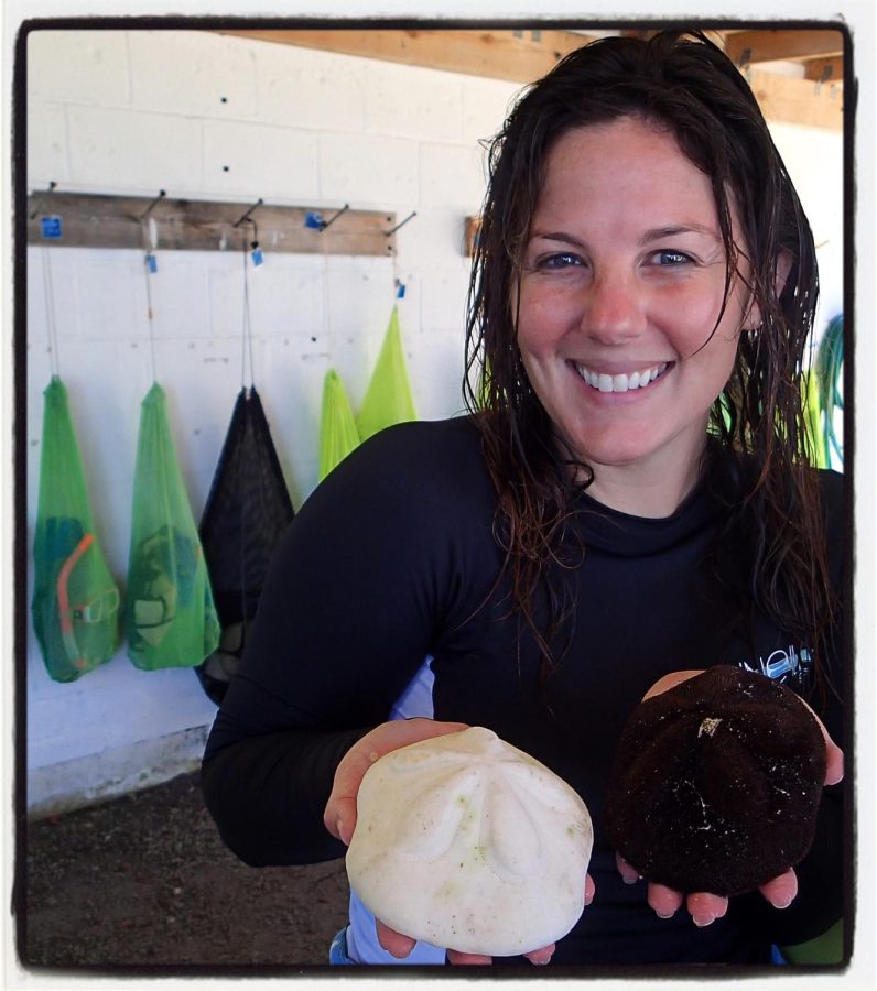 Dr. Shaw with some sand dollars on one of her many ocean adventures.