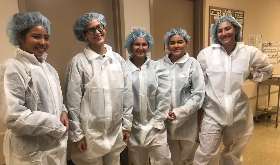 ILS Steam program activities in action, with these seniors getting ready to assist fellow first aid nurses and doctors at Mercy hospital.