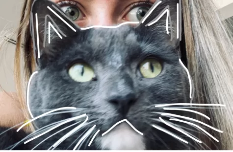 Our furry feline friends should be cared for and loved, not experimented upon.