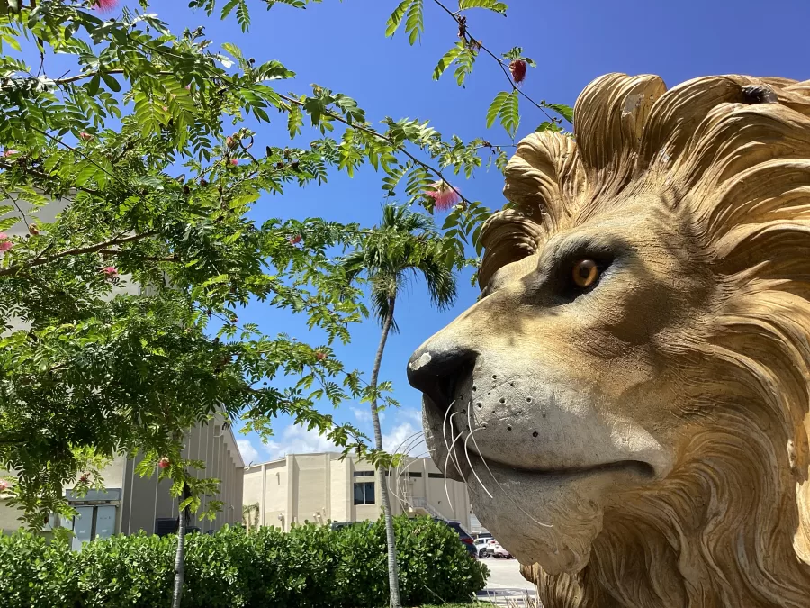 This image symbolizes a basic summary of ILS. Through the lion (the schools mascot), the tree branches (the gift of the location of our campus), and finally an overview of one of the many buildings, ILS encompasses many vibrant aspects.