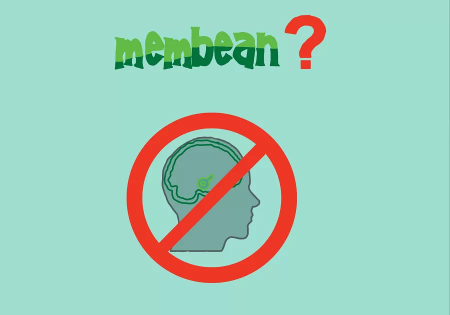 This logo represents the vocabulary platform, Membean, which all ILS students are required to use.