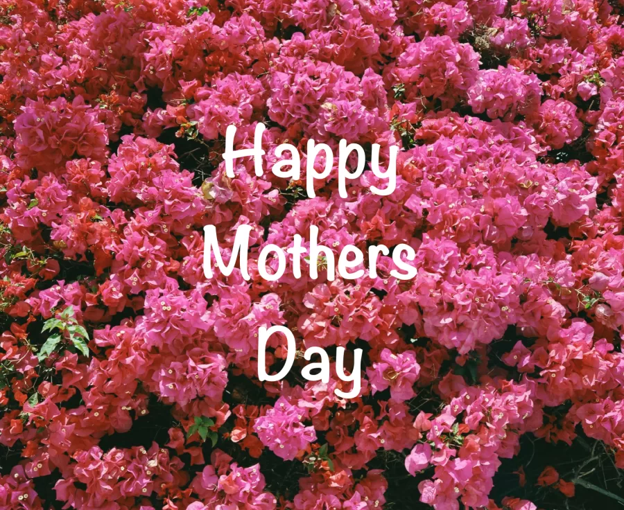 The official Mothers Day holiday arose in the 1900s as a result of the efforts of Anna Jarvis, daughter of Ann Reeves Jarvis. Following her mothers 1905 death, Anna Jarvis conceived of Mothers Day as a way of honoring the sacrifices mothers made for their children. (historychannel.com)