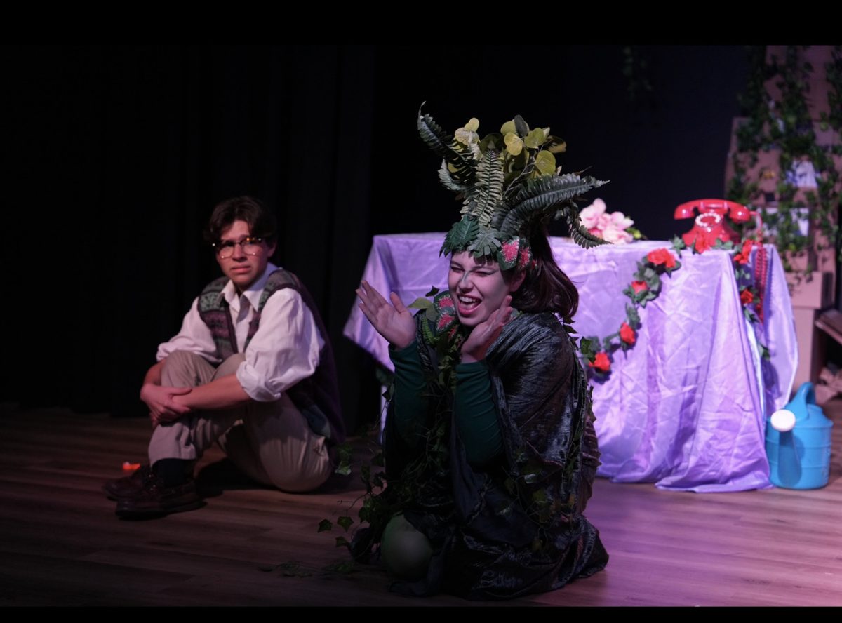 Little Shop of Horrors Musical Review was open from Tuesday October 24 to Wednesday October 25. 