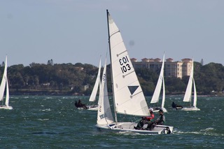 ILS Sailing Team competes at Regatta. 