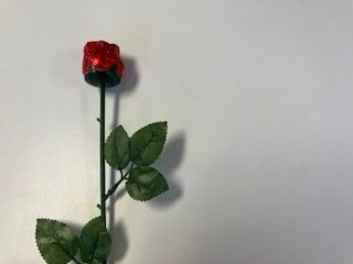 A red rose, in this instance a chocolate one, represents an enduring image of love on Valentines Day.