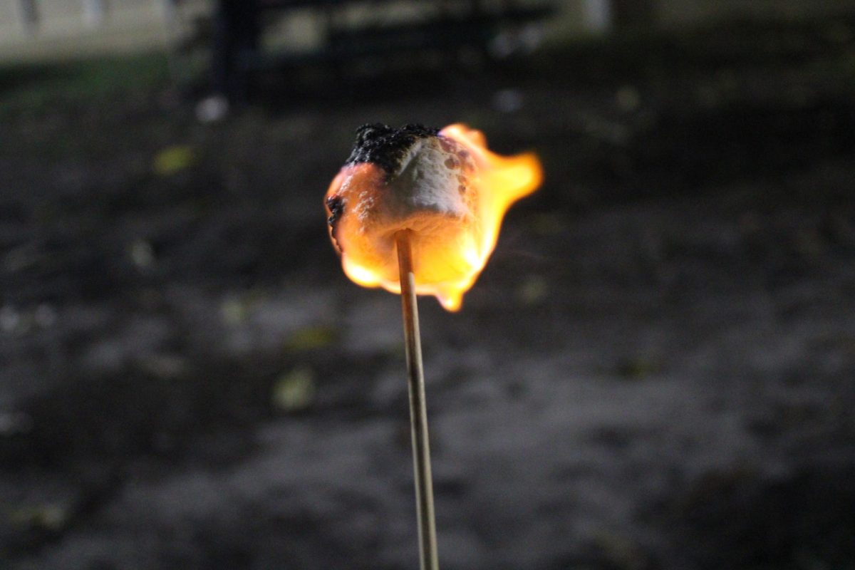 Did you know that this little lit marshmallow, if untended, could lead to a raging wildfire? 