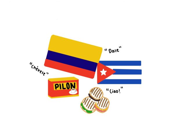 This artisti rendering of different flags, slang, foods, etc. depicts the variety which exists among the various Hispanic cultures found in the city of Miami.