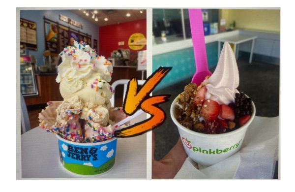 When lined up side by side, Froyo and ice cream have fans as well as detractors. Photo Illustration: Victoria Harding