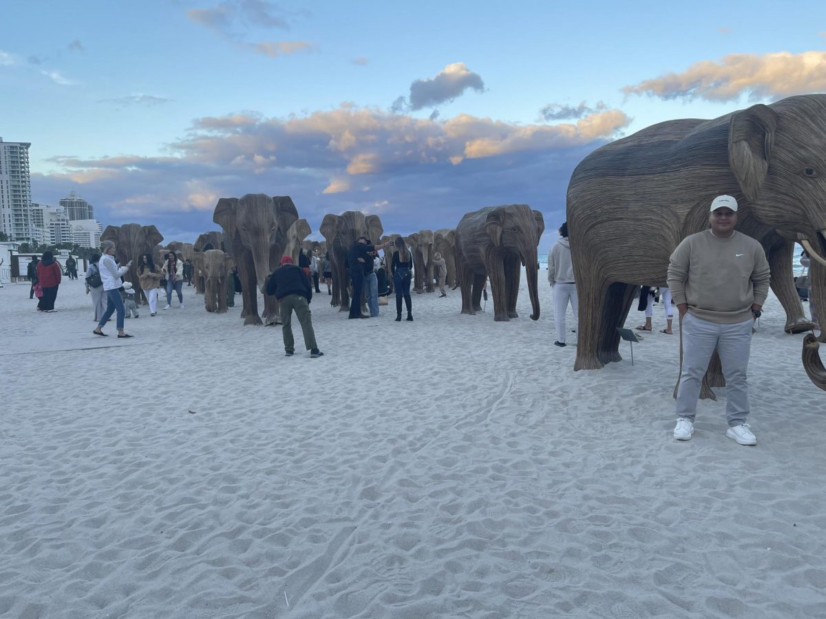 The Great Elephant Migration has arrived in Miami Beach with the Art Basel and is popular