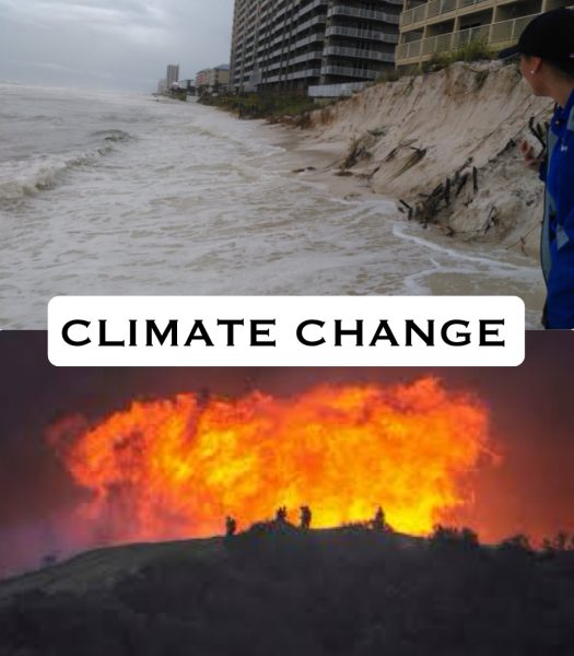 Beach erosion in Florida and wildfires in California are only some of the many adverse results of climate change.