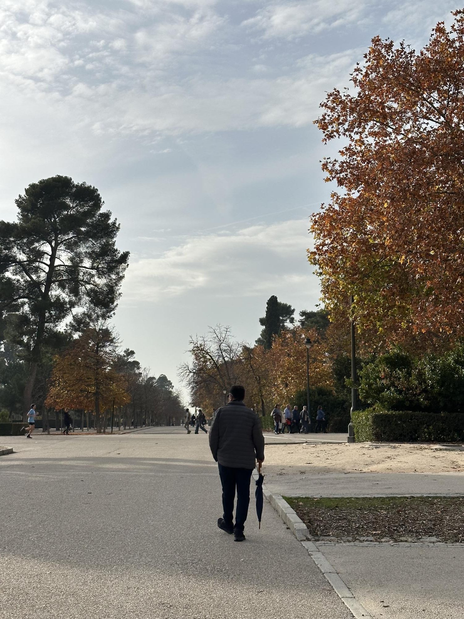 A man walks through the fall trees enjoying the South Florida weather one afternoon. 