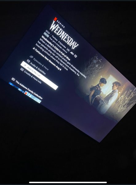 The popular Netflix series Wednesday is set to return for a much anticipated second season.