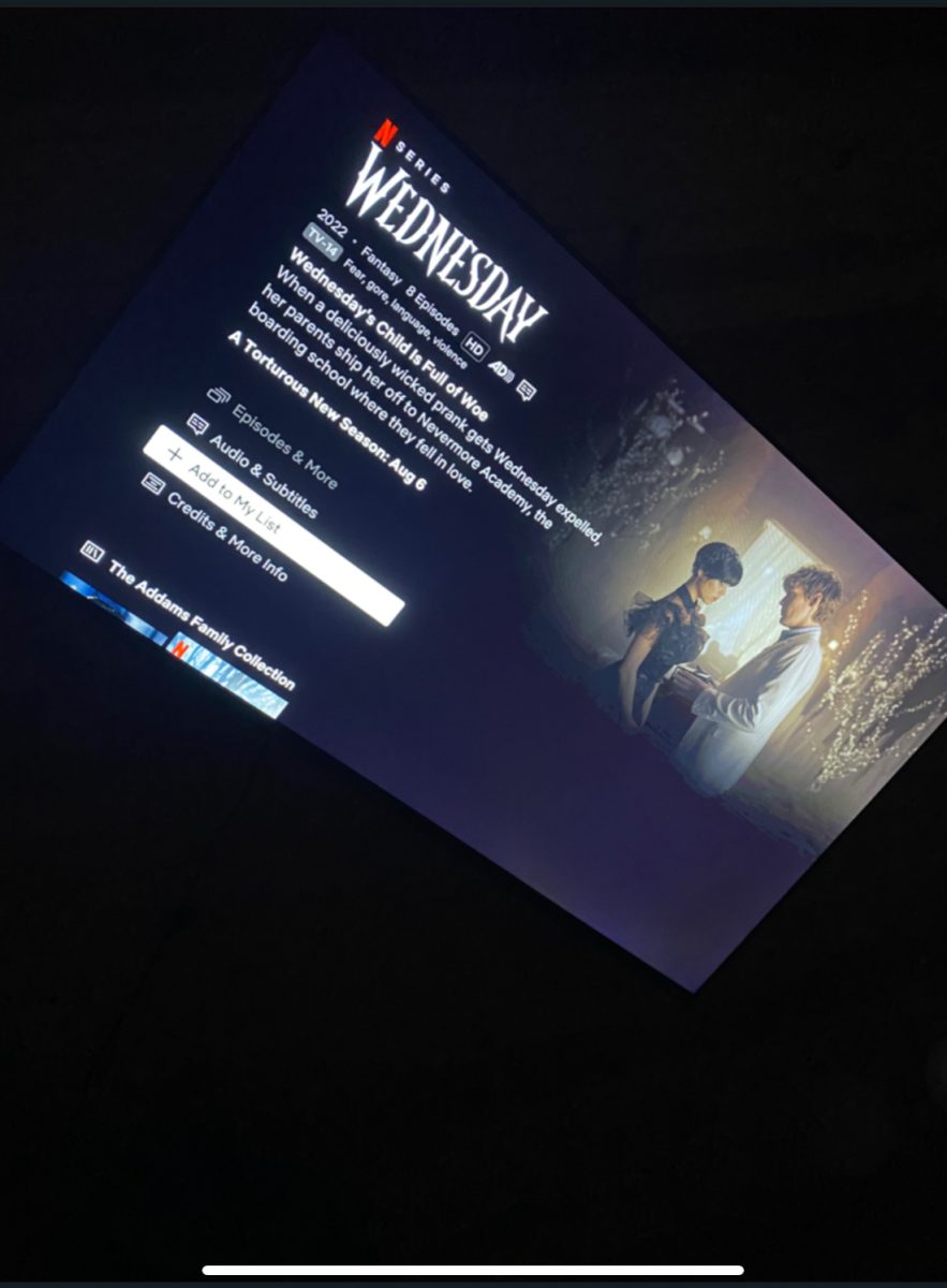 The popular Netflix series Wednesday is set to return for a much anticipated second season.