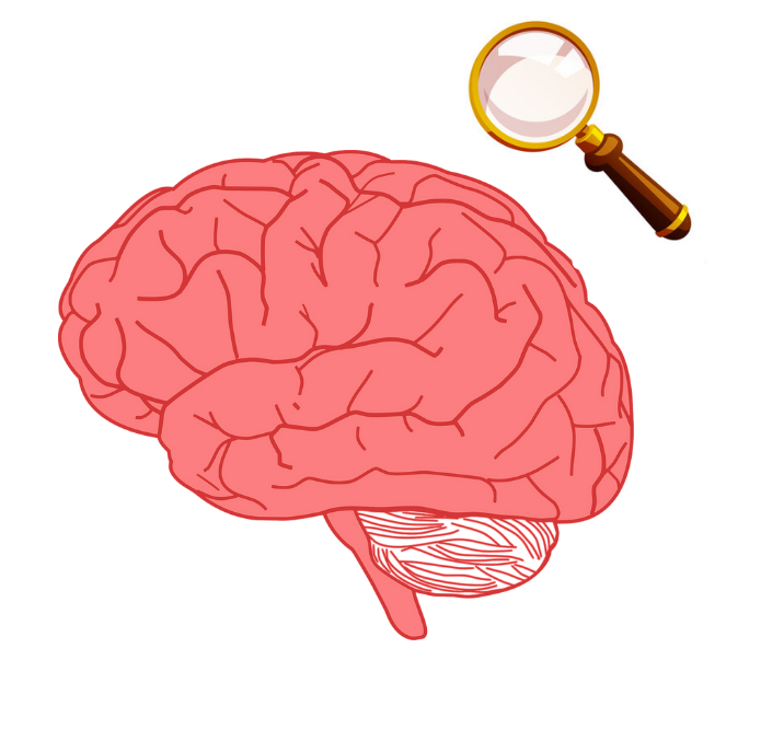 Psychological research has found a strong connection between inherited genetics and a person's personality.
