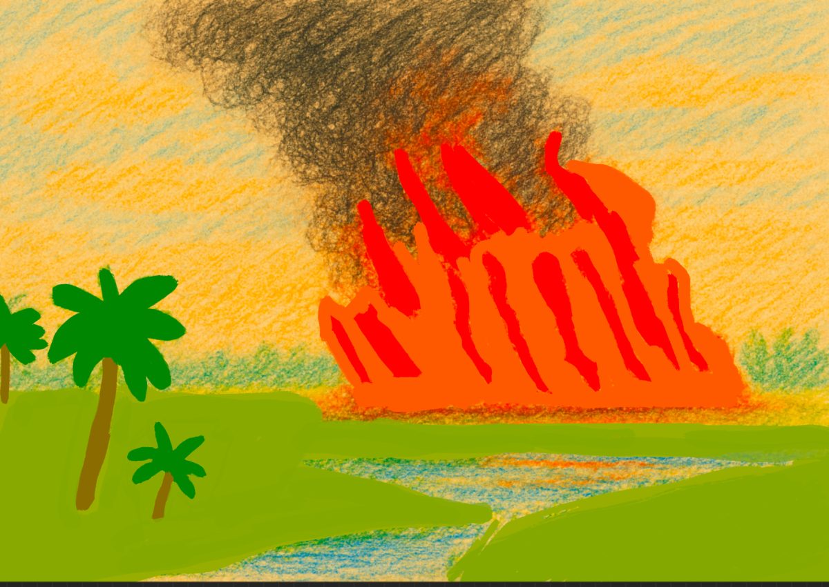 This original illustration demonstrates the power and beauty of a forest fire which has the ability to benefit and harm its surroundings when not adequately managed.