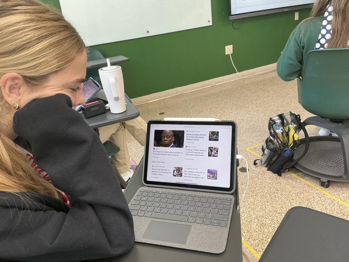 Senior Camila Paris explores online information regarding the upcoming New York City mayoral race.