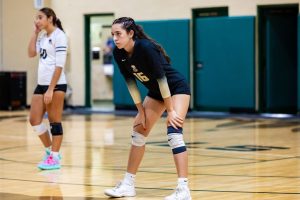 Focused and fearless. Royals Volleyball stays ready for every point.