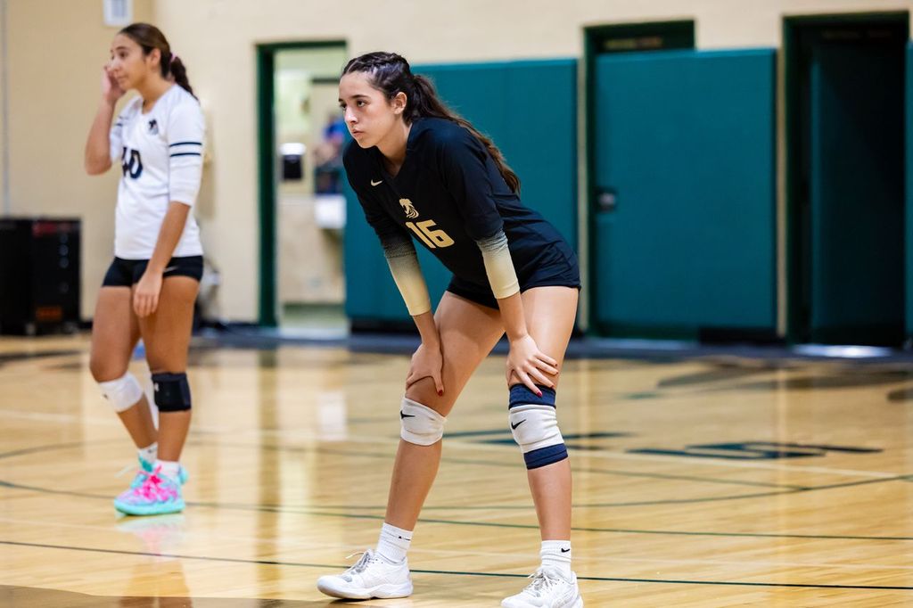 Focused and fearless. Royals Volleyball stays ready for every point.