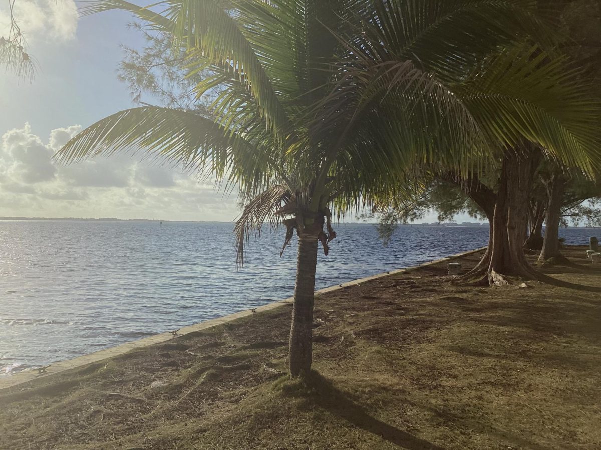 Caring for the Earth, as stated in the Papal encyclical, Laudato Si', is a reminder for the ILS community which is particularly surrounded by nature.