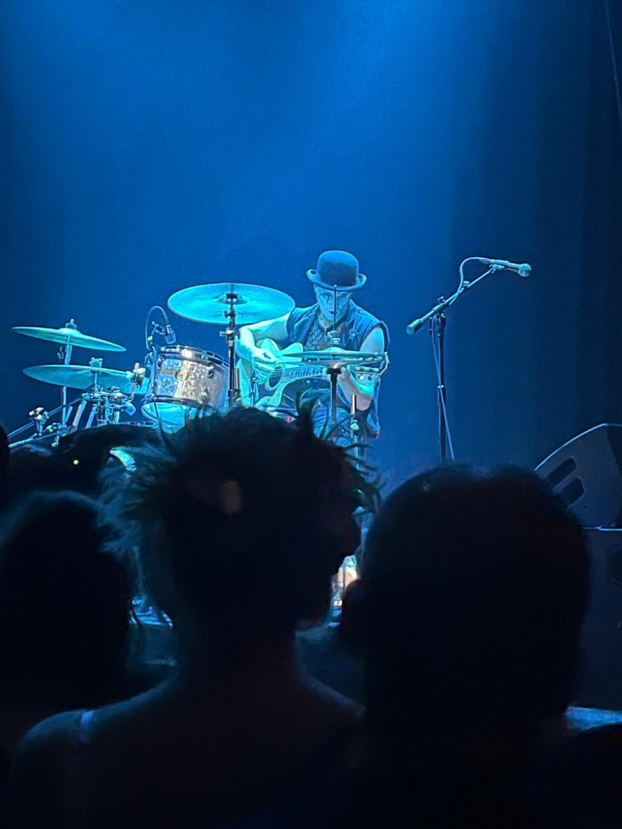 This concert photo is of the Dresden Dolls, a unique band which emerged in the 2000's and is still loved today by many.