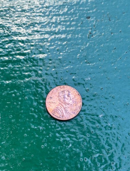 This is a picture of one of the last ever pennies in the entire world. Some speculate is likely that this denomination will be discontinued.