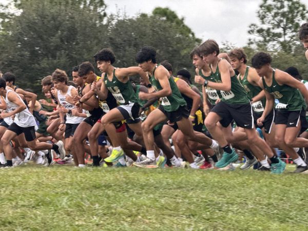 And they are off! Members of the Cross Country team compete.