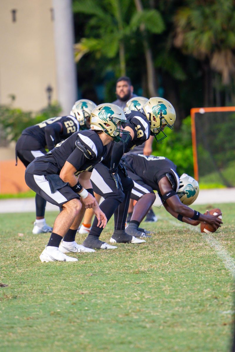 Football players line up preparing for a snap on the field.