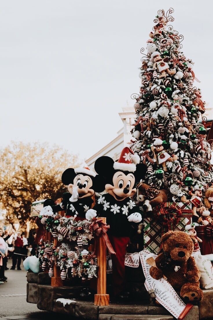 Christmas decorations, a trimmed tree, and even a stuff Mickey round out this holiday-themed decor.