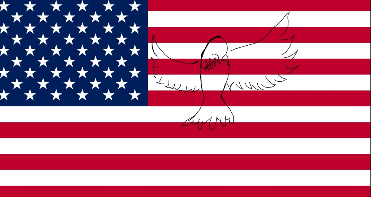 A American flag with the outline of a dove repressing peace.