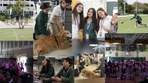 This collage features a few of the different activities held on Wellness Day.