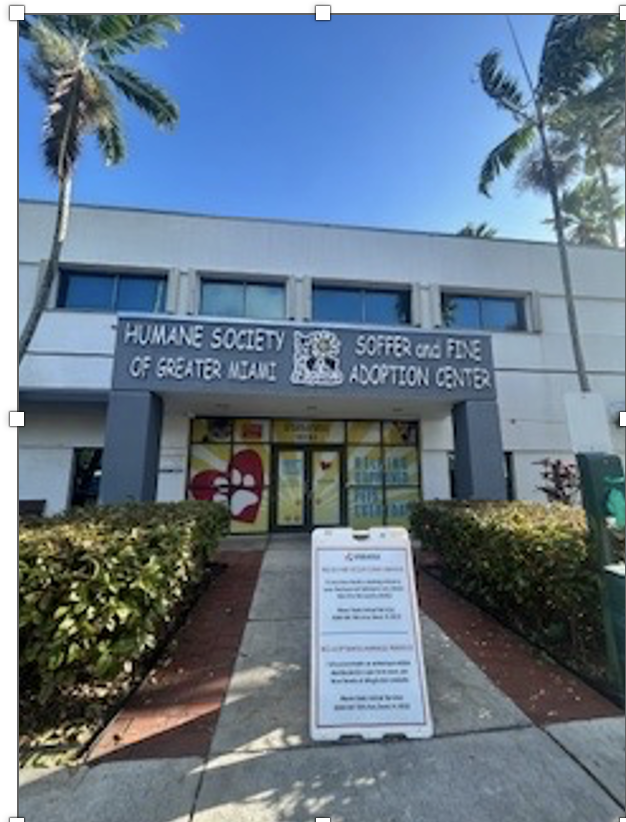Located at 16101 W Dixie Hwy, North Miami Beach, FL 33160, the Humane Society cares for our four-legged friends.
