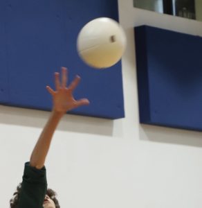An ILS Royal Lion serves at a volleyball match, a sport in which ILS won districts at this year.
