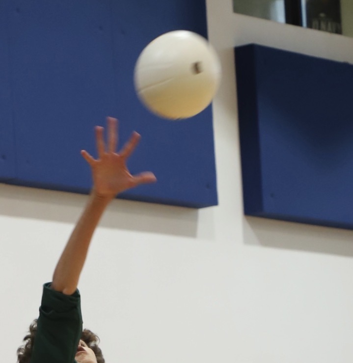 An ILS Royal Lion serves at a volleyball match, a sport in which ILS won districts at this year.