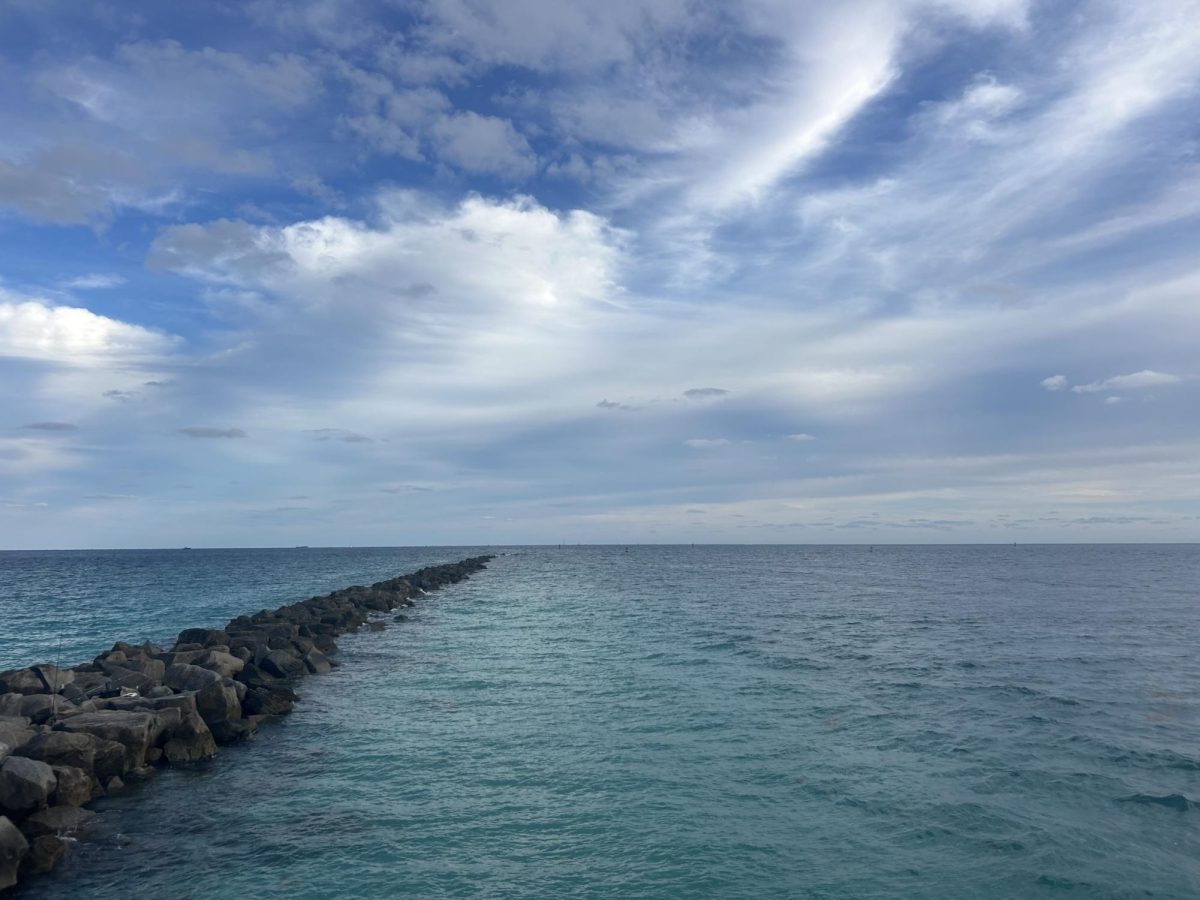 The gorgeous ocean we need to protect.