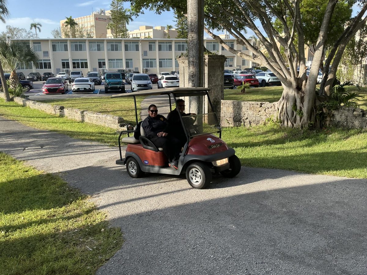 The two security guards of Immaculata La Salle high school patrol the school campus and are currently patrolling the 800s and 900s building.
