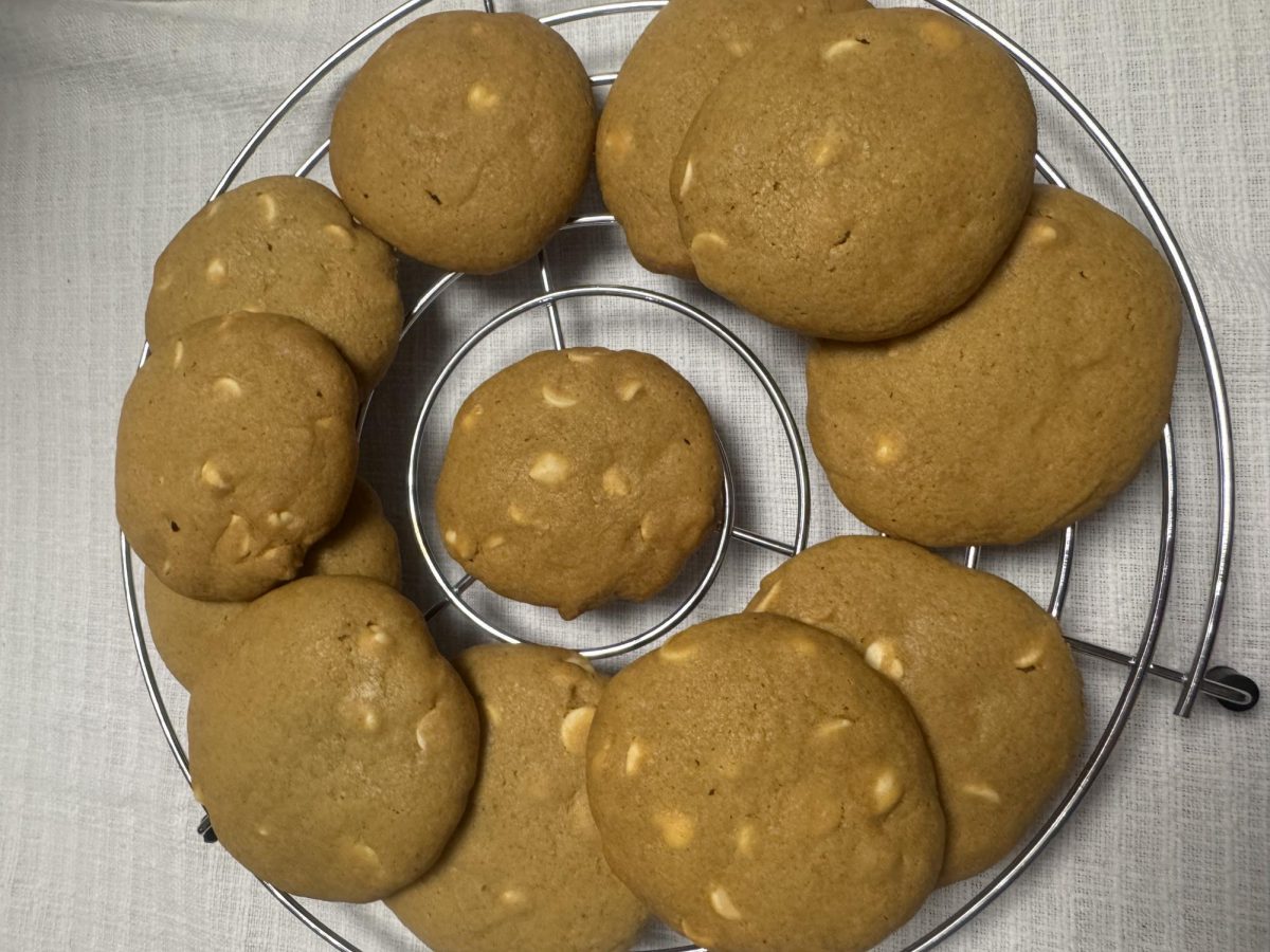 Freshly baked pumpkin cookies with white chocolate chips cool on a wire rack before being served. 