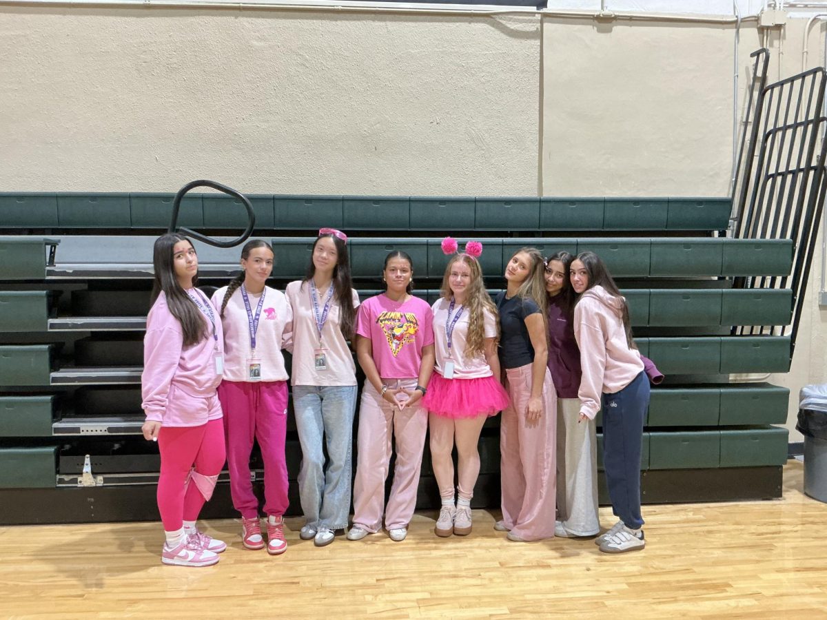 Freshmen in health science dress up for Hoco week's think pink theme.