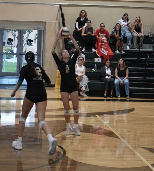 With complete focus on the court, player #2 sets up a scoring opportunity in front of the spectator stands during a volleyball game.