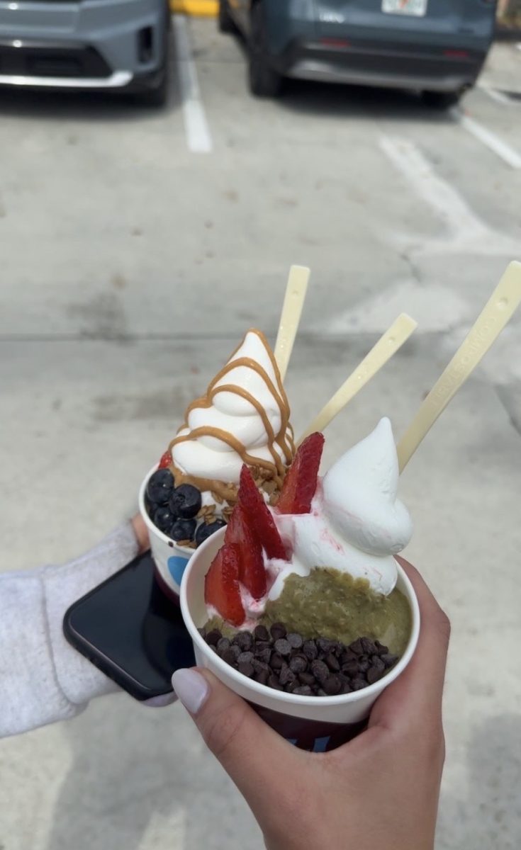 Two cups of Meli frozen yogurt topped with fresh fruit, chocolate chips, and sweet drizzle offer customers a delicious treat.