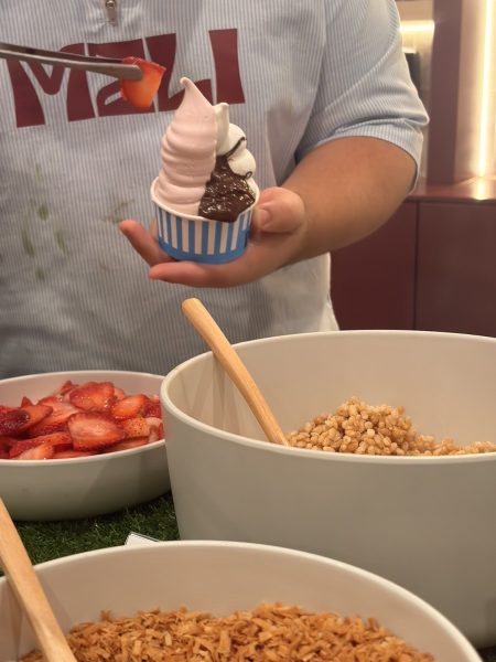 A Meli Frozen Yogurt employee prepares a cup of frozen yogurt with toppings while fresh fruit and other choices are displayed.
