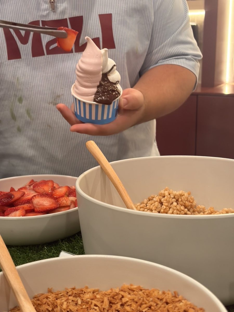 A Meli Frozen Yogurt employee prepares a cup of frozen yogurt with toppings while fresh fruit and other choices are displayed.